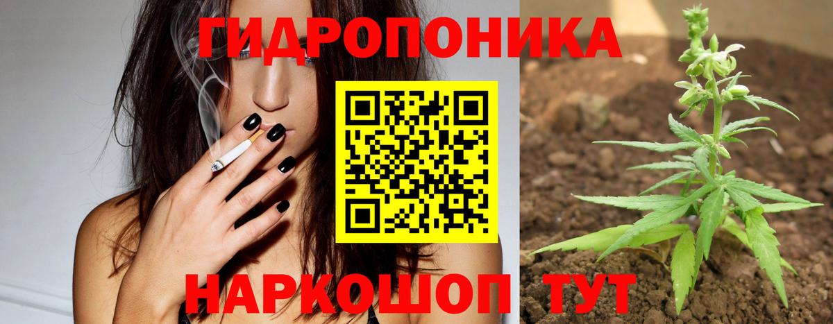 Каннабис план  Канабис Bruce Banner  Семёнов  Конопля индика  Вход с VPN  Бошки марихуана LSD WEED 